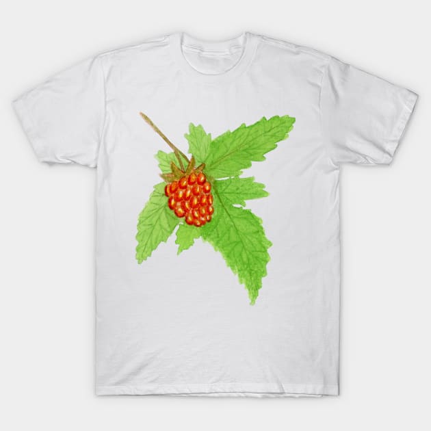 Watercolor Salmonberry Fruit T-Shirt by paintedpansy